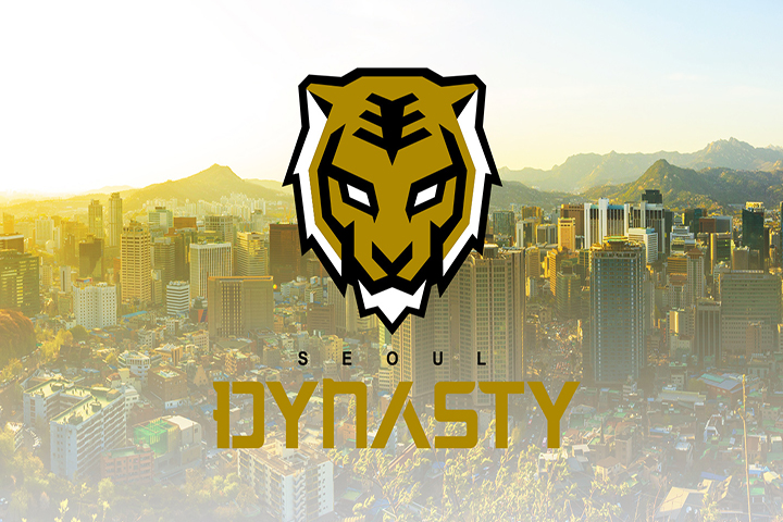 OW New York Excelsior Et Seoul Dynasty Recrutent Un Support