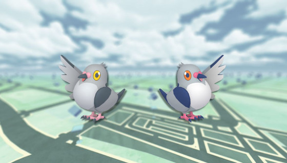 Poichigeon : Shiny et bonus de l'Heure Vedette sur Pokémon Go