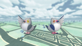 Poichigeon : Shiny et bonus de l'Heure Vedette sur Pokémon Go