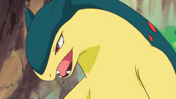 Typhlosion leak : Cette histoire entre une humaine et un Pokémon est sacrément tordue