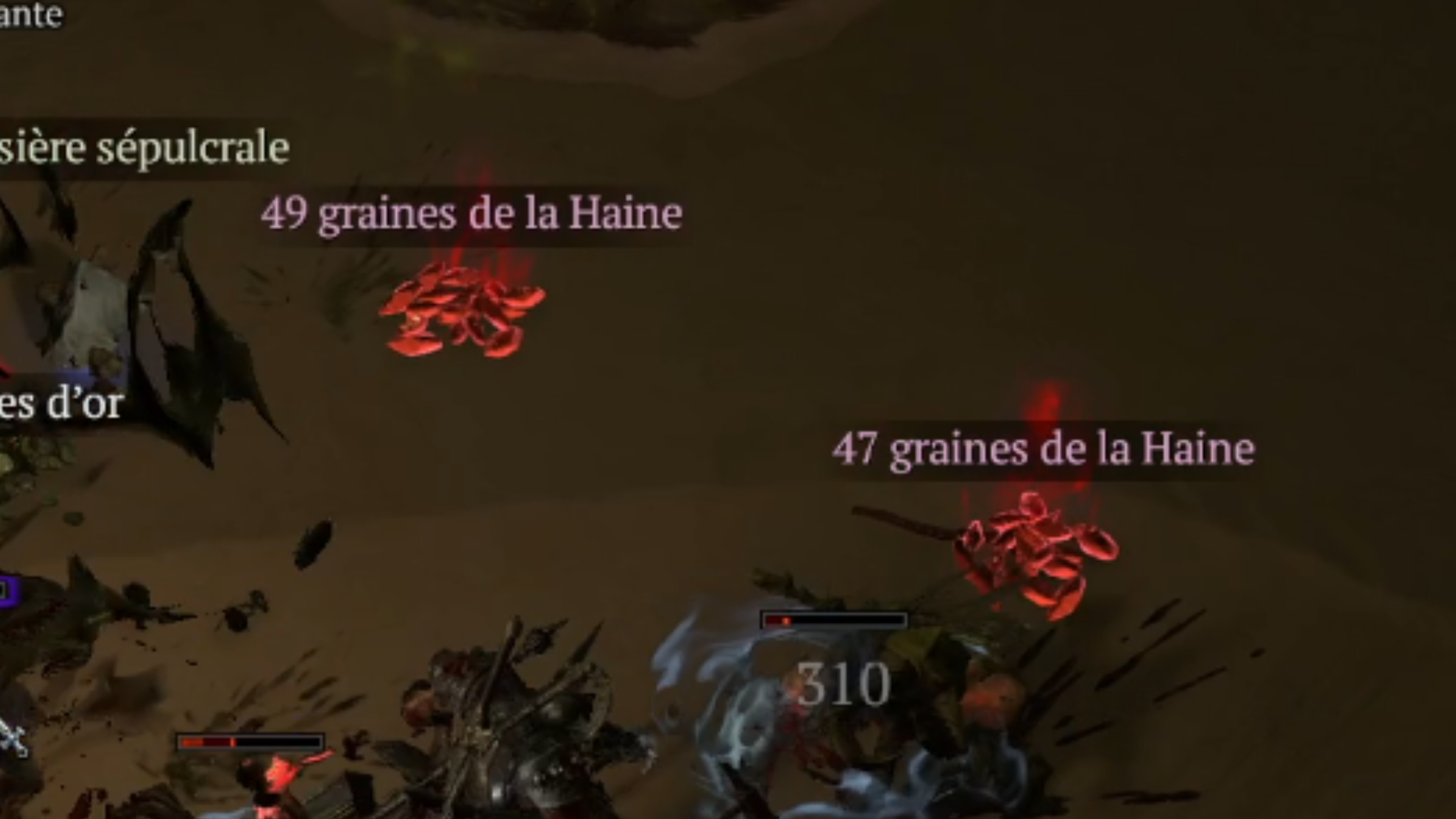 graine-de-la-haine