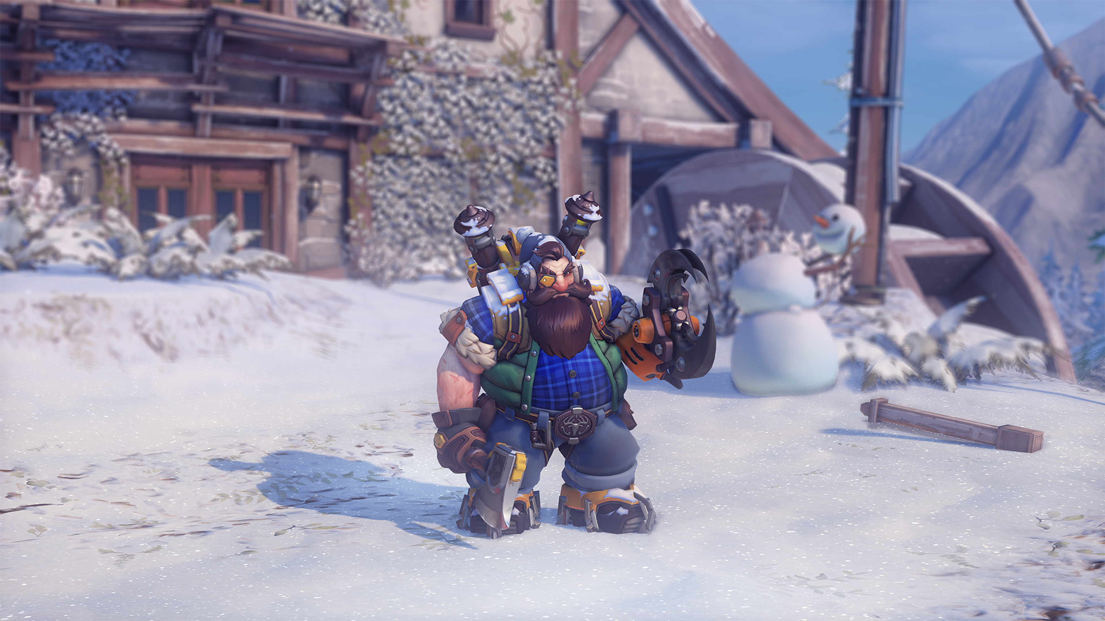 Torbjorn bucheron