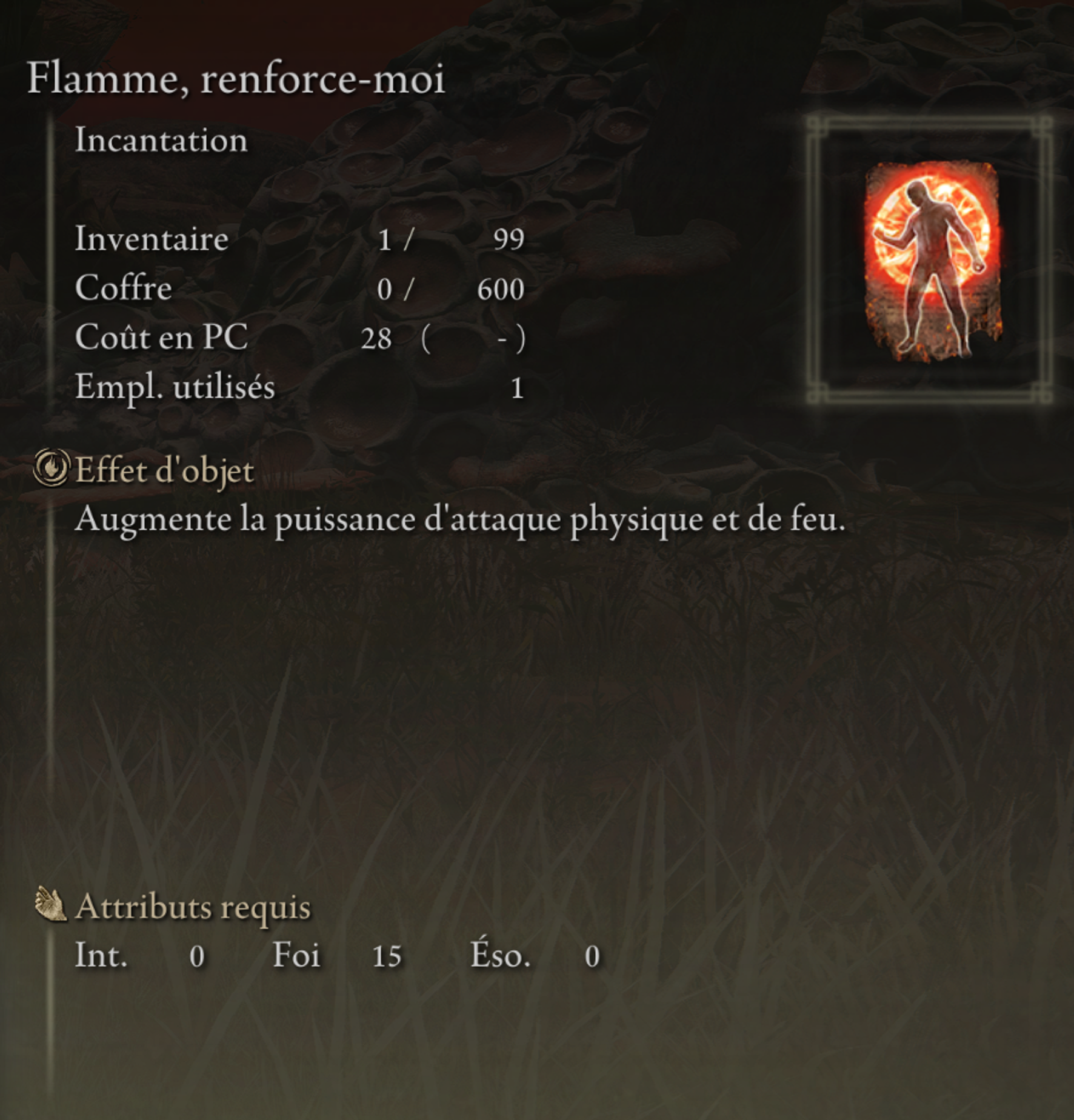 flamme-renforce-moi-sort