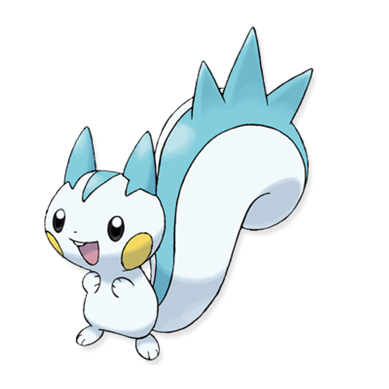 pachirisu