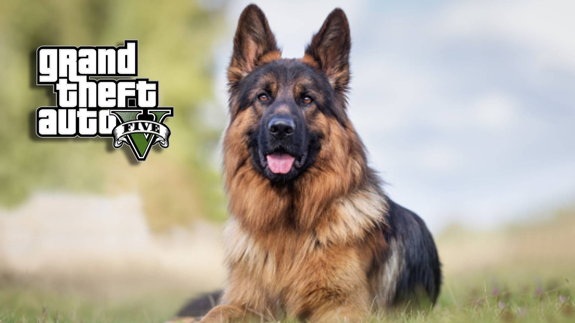 Berger allemand GTA 5, comment avoir le chien avec un mod ?