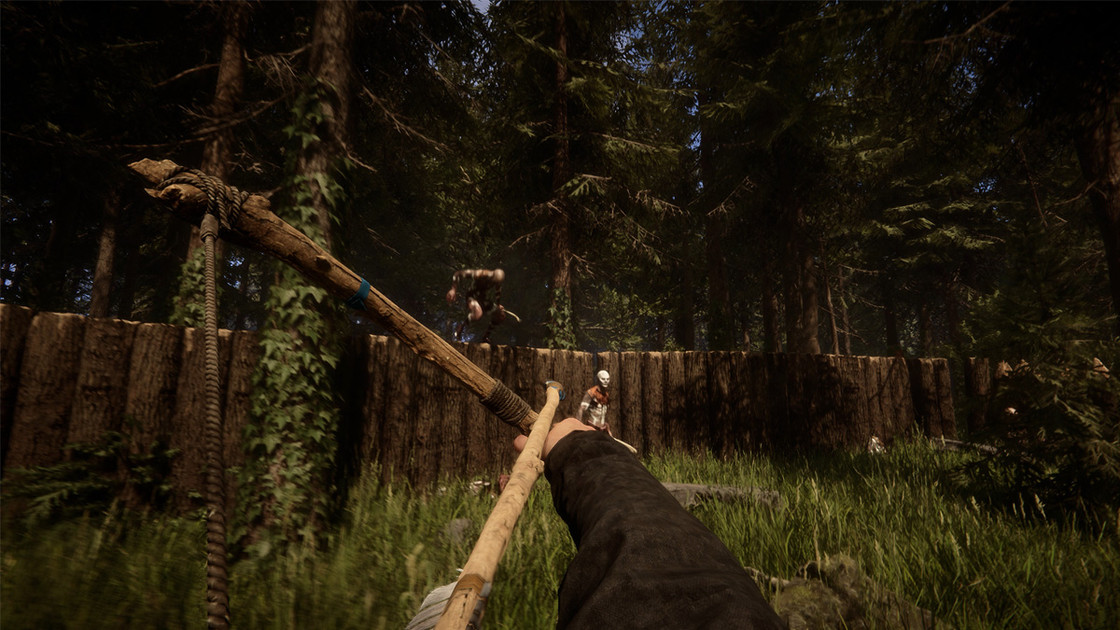 Sons of the Forest prix, combien coûte le jeu ?