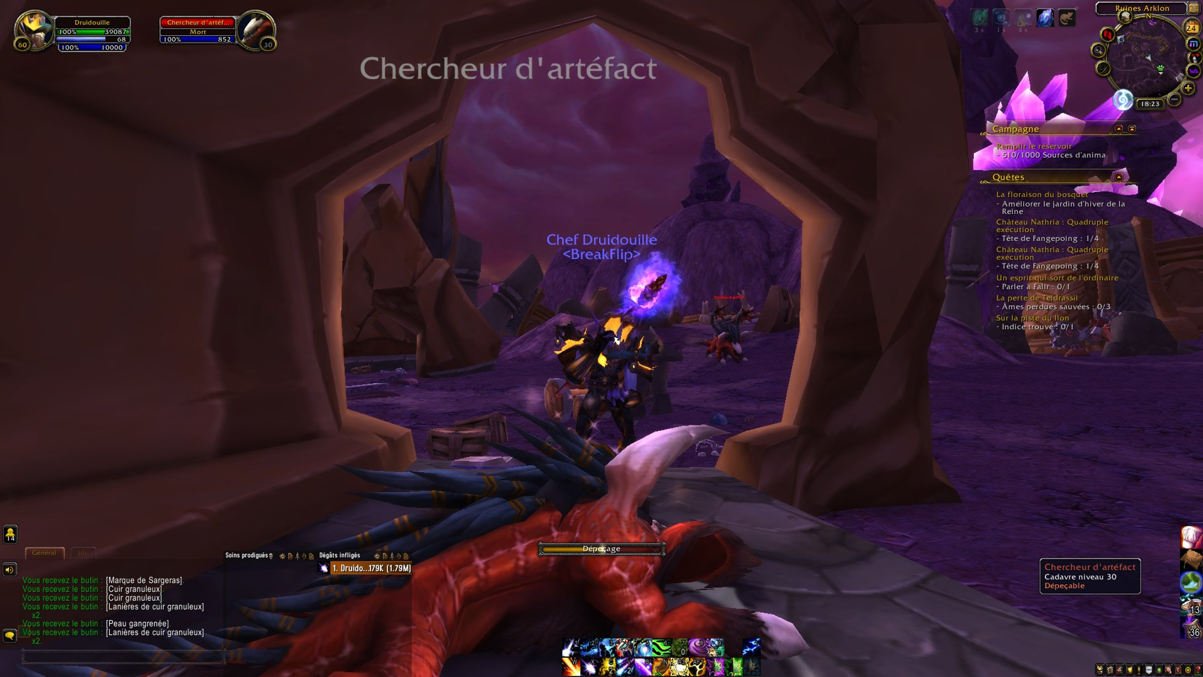 gangrepeau-farm-tbc-wow-burning-crusade