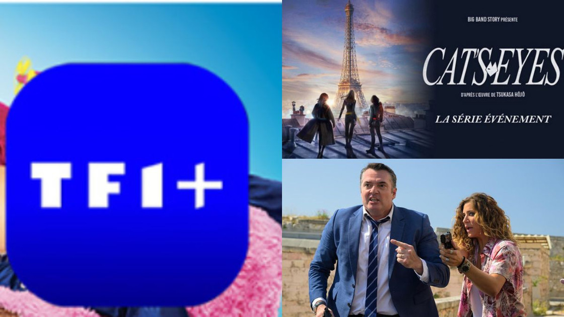 TF1 séries renouvelées, annulées, à venir : ce qui vous attend en 2024