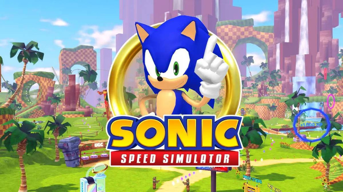 Sonic Speed Simulator codes 2025 : quels sont les codes disponibles en 2025 ?