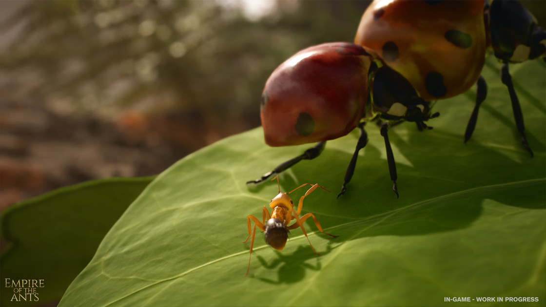 Les Fourmis de Bernard Weber adapté en jeu vidéo ?