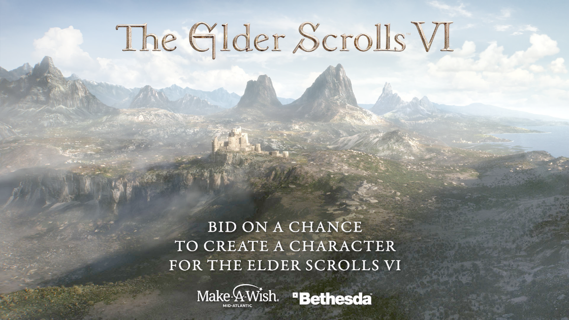 Insolite, tu peux devenir un PNJ officiel dans The Elder Scroll 6 et c'est pour la bonne cause !