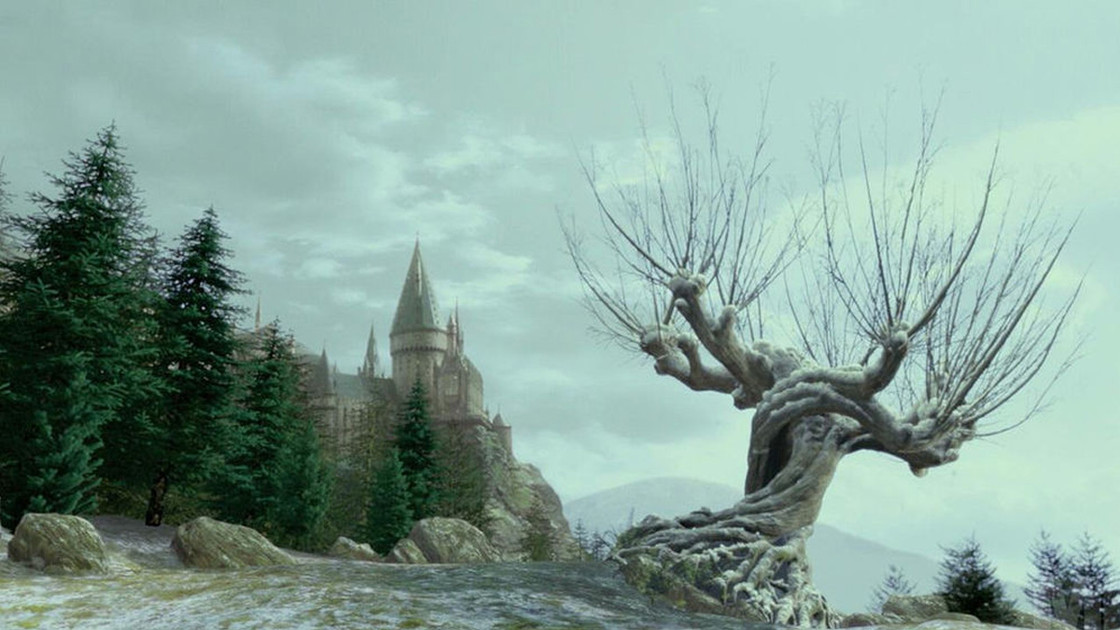 Saule cogneur Hogwarts Legacy, pourquoi l'arbre n'est pas présent ?