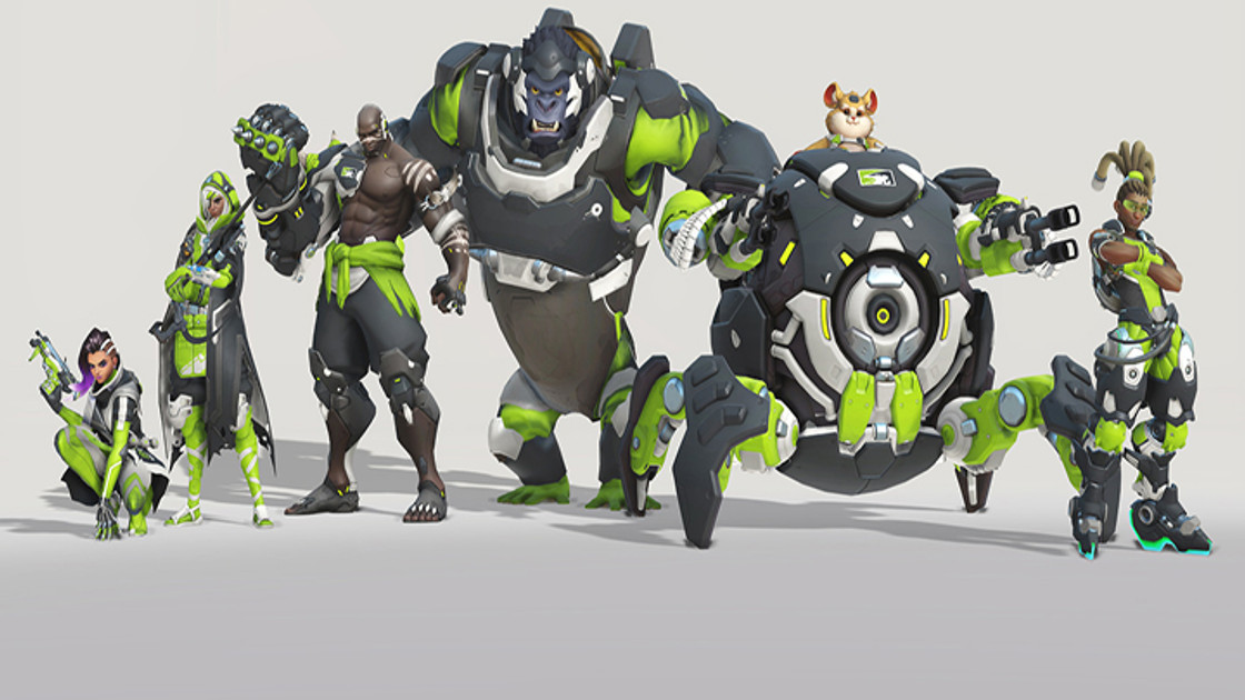 OW : Des skins en Contenders