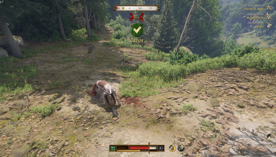 Chien Kingdom Come Deliverance 2, comment obtenir et apprivoiser Cabot dans KCD 2 ?