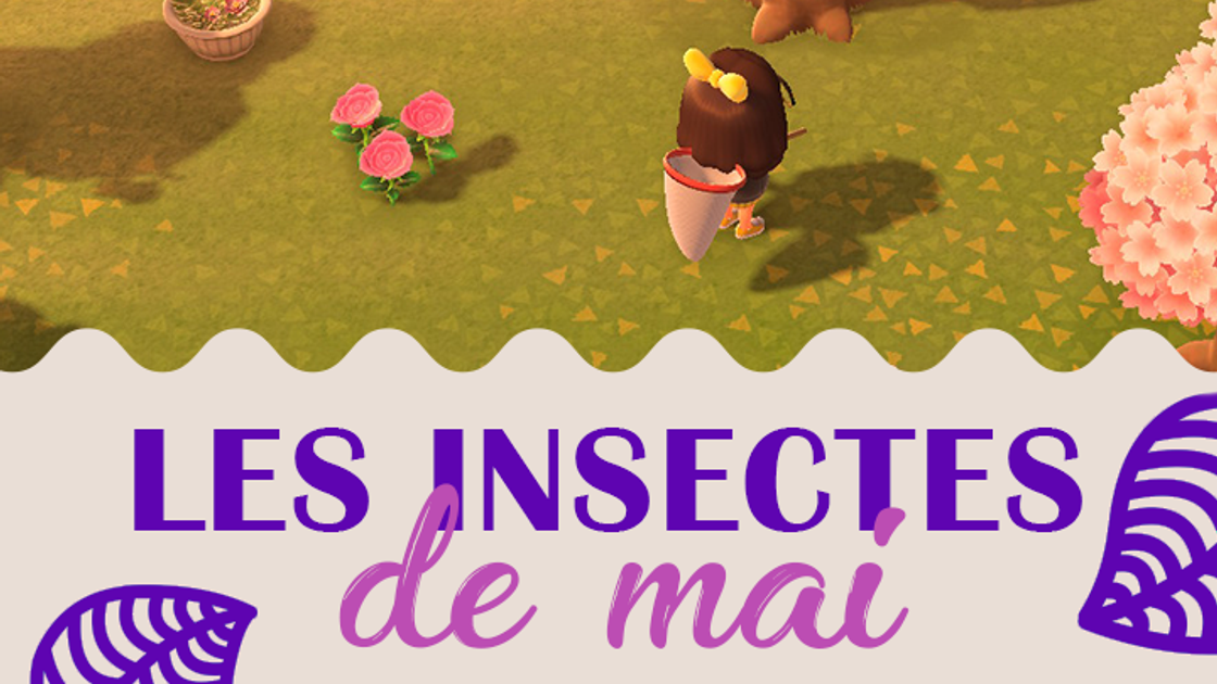 Insectes du mois de mai dans Animal Crossing New Horizons, hémisphère nord et sud