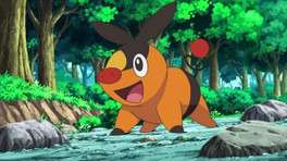 Pokémon ZA Leak : les trois starters et de nouvelles formes Méga pourraient avoir fuité !