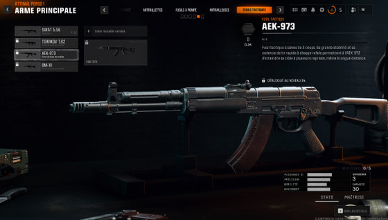 AEK-973 Camo BO6, comment débloquer tous les camouflages sur Black Ops 6 ?