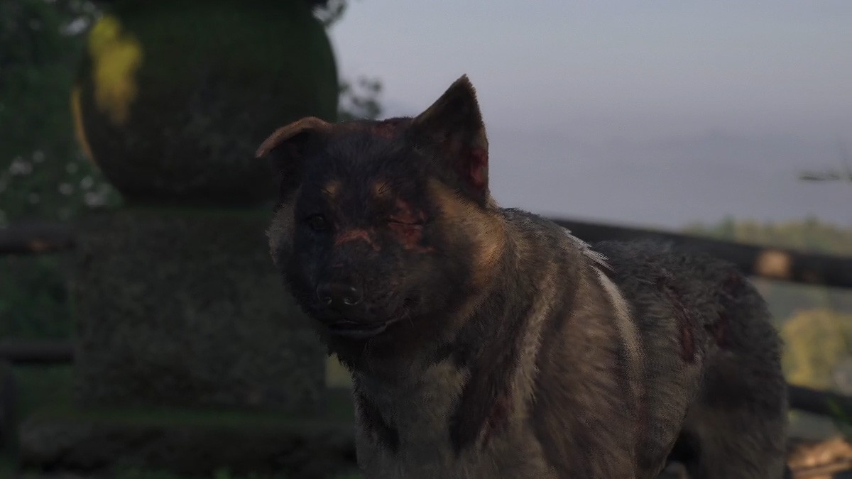 Laissé pour compte Assassin's Creed Shadows : où trouver le chien et comment avoir la clé ?