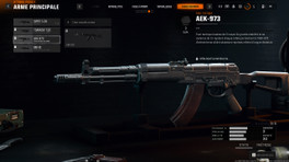 AEK-973 Camo BO6, comment débloquer tous les camouflages sur Black Ops 6 ?