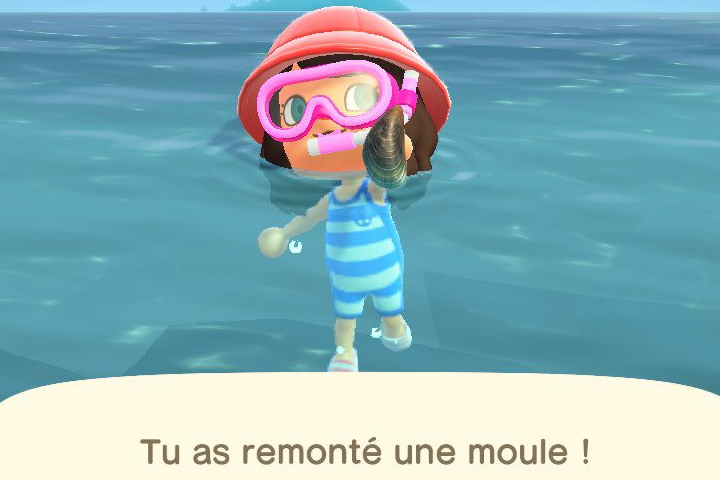 Toutes les créatures marines d'Animal Crossing : New Horizons