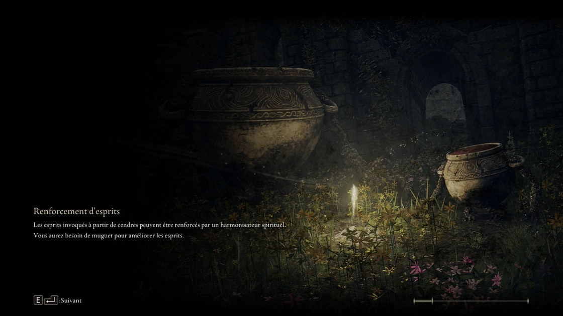 Shadow of the Erdtree Ordre des boss : par lequel commencer dans le DLC d'Elden Ring ?