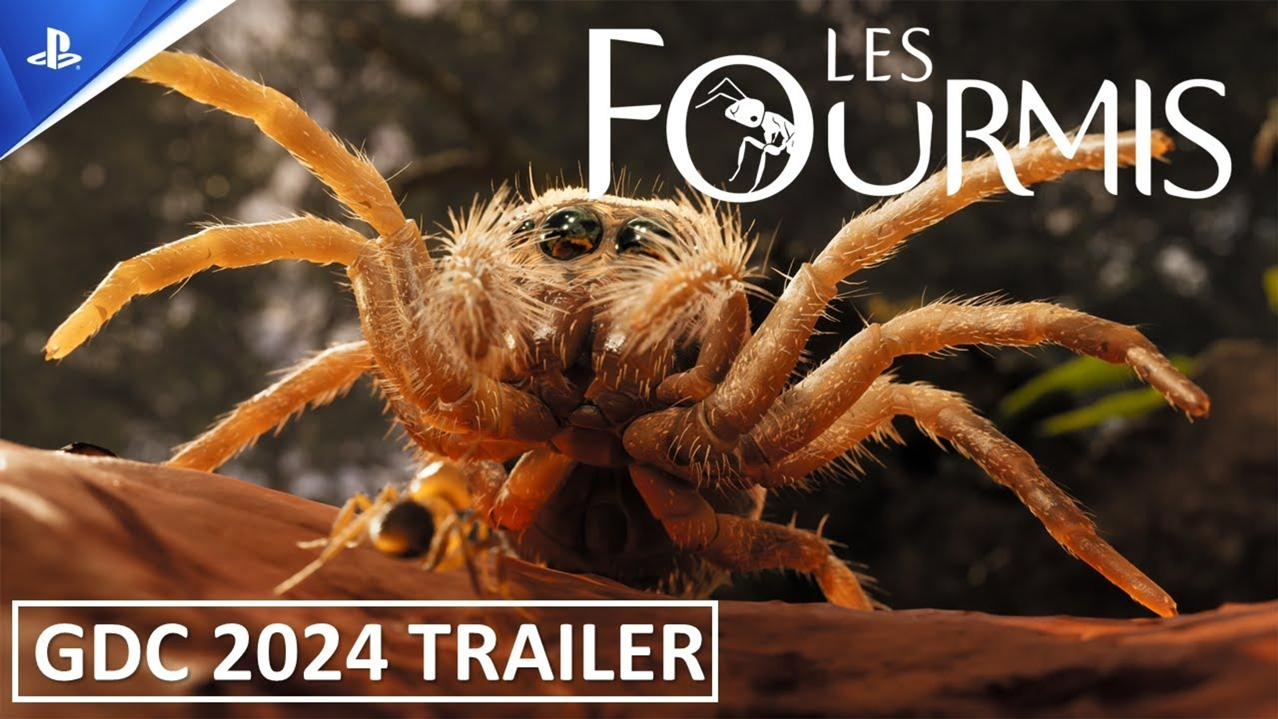 trailer-gdc-2024-les-fourmis