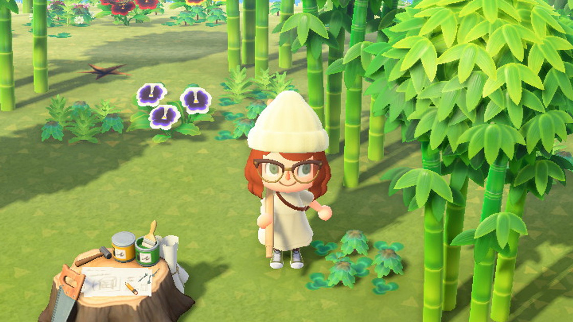 Où trouver du bambou dans Animal Crossing : New Horizons ?