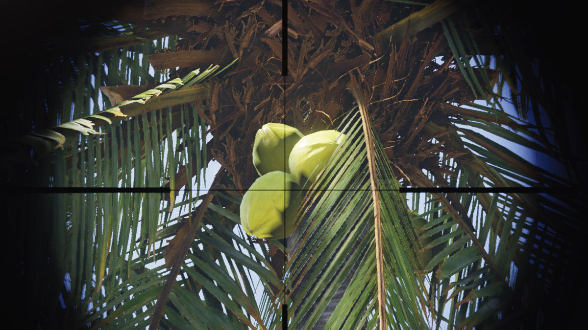 Noix de coco Once Human emplacement : où farmer cette ressource ?