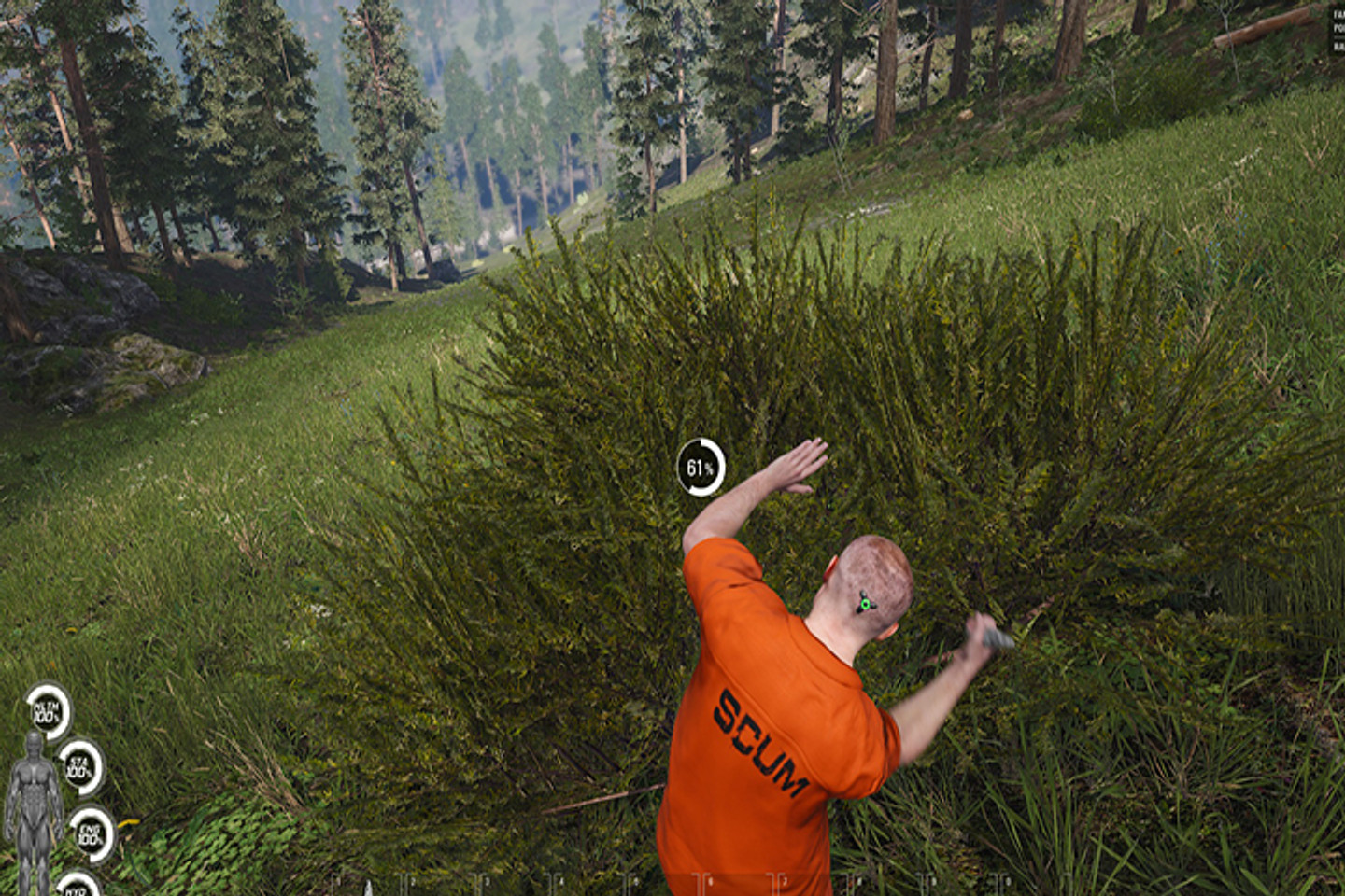 Tous nos guides sur SCUM