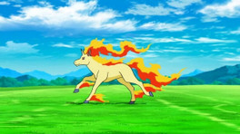 Galopa leak Pokémon : une histoire bizarre entre un homme et sa femme cheval