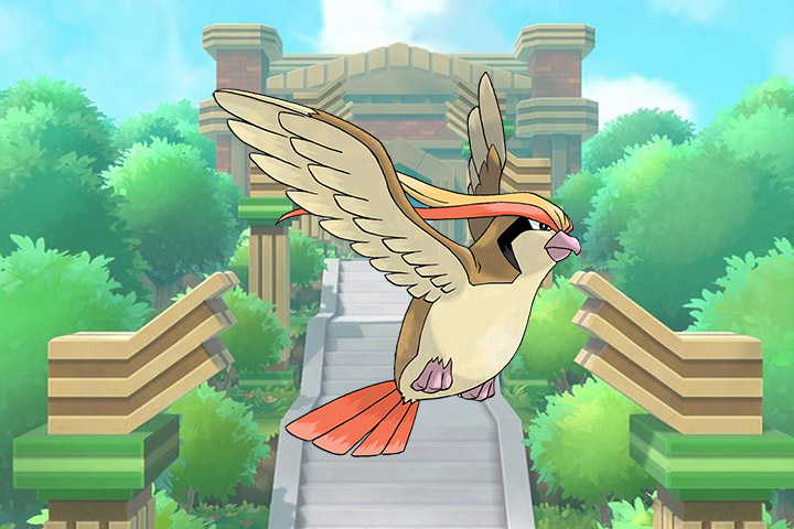 Roucarnage Pokémon Lets Go Pikachu Et évoli 018