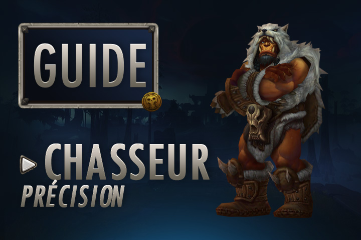 WoW Guide Chasseur Pr cision Breakflip