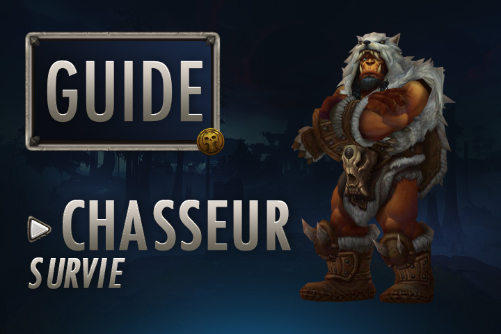 WoW Guide Chasseur Survie Breakflip